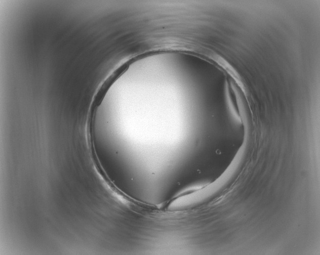 X0000074261293200609222141