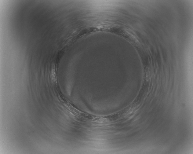 X0000074261298200609222140