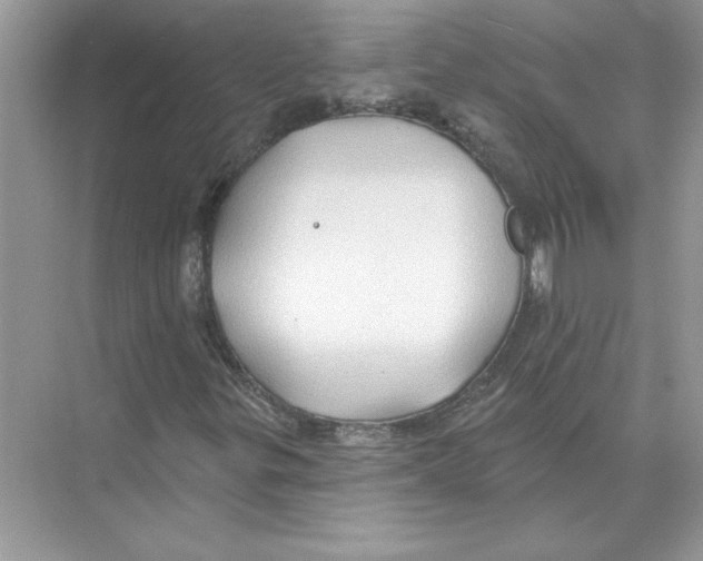 X0000074261299200609222140