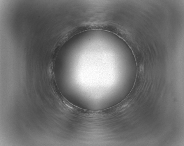 X0000074261300200609222140