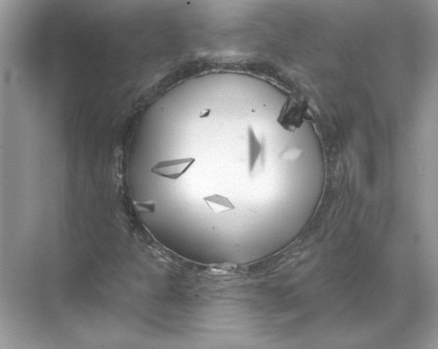 X0000074261301200609222140