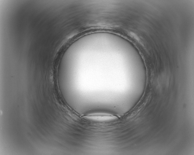 X0000074261307200609222140