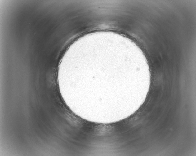 X0000074261314200609222141