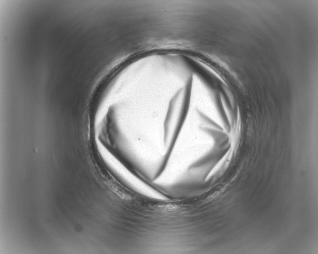 X0000074261317200609222141