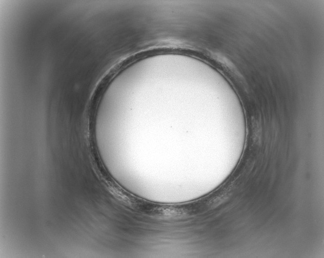 X0000074261318200609222141