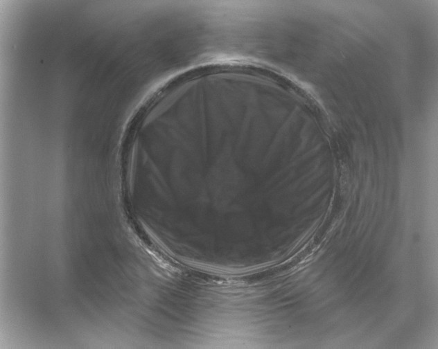 X0000074261319200609222141