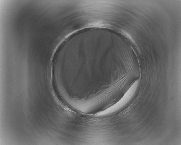 X0000074261323200609222141