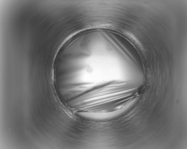 X0000074261324200609222141