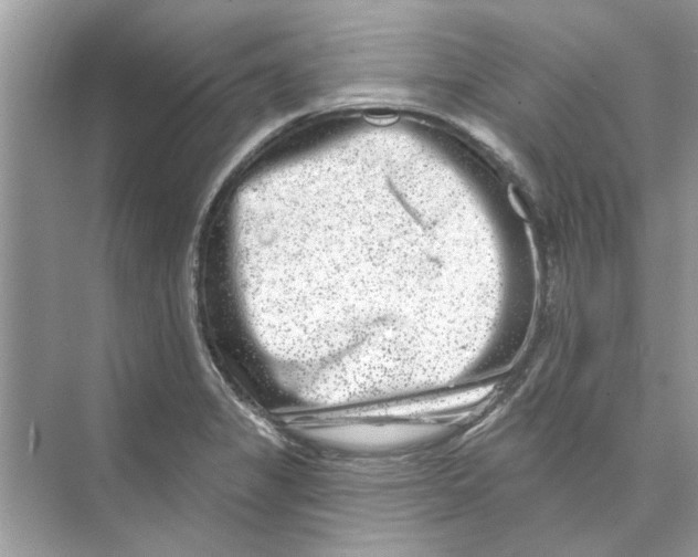 X0000074261325200609222141