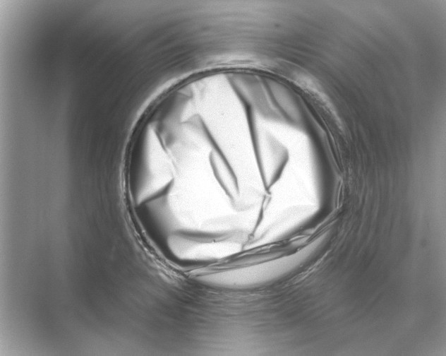 X0000074261328200609222141