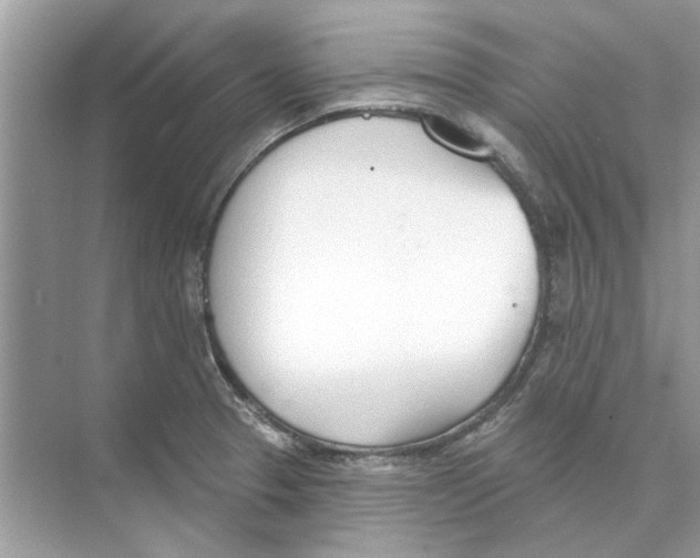 X0000074261329200609222141