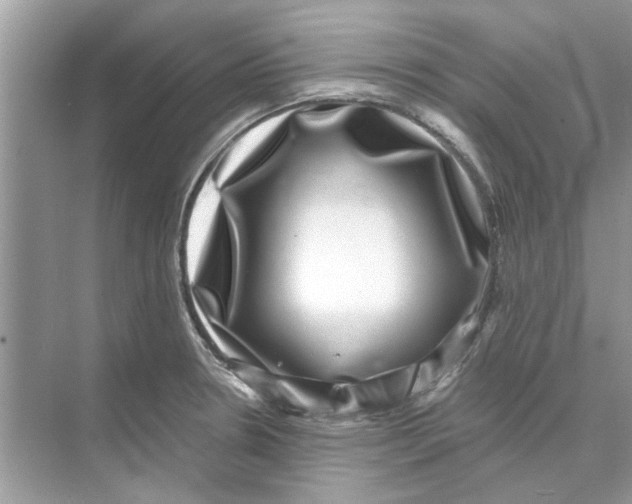 X0000074261330200609222141