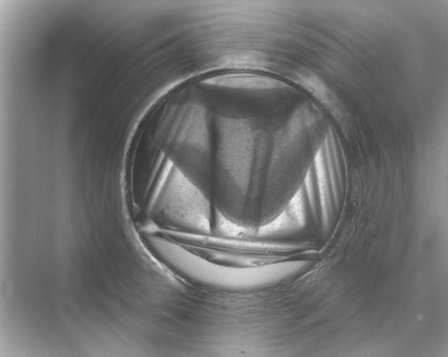 X0000074261331200609222141