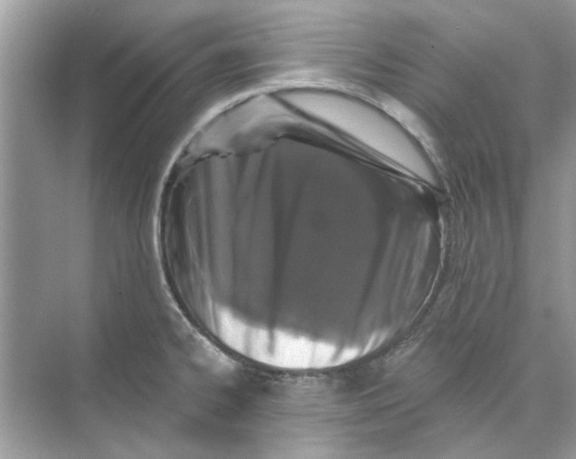 X0000074261334200609222141