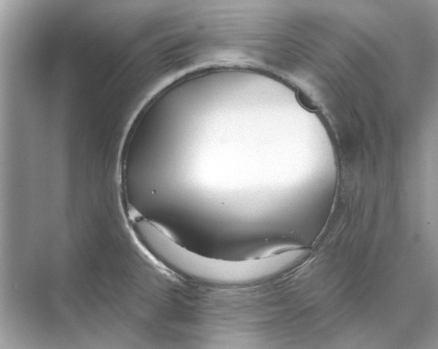 X0000074261335200609222141