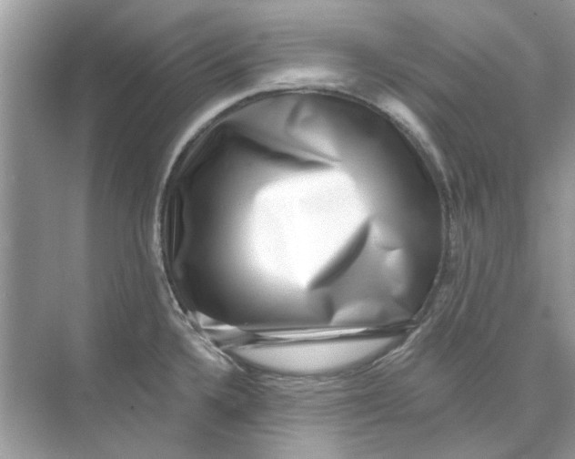 X0000074261336200609222141