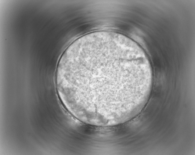 X0000074261338200609222141