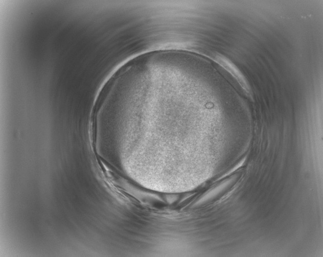 X0000074261340200609222141