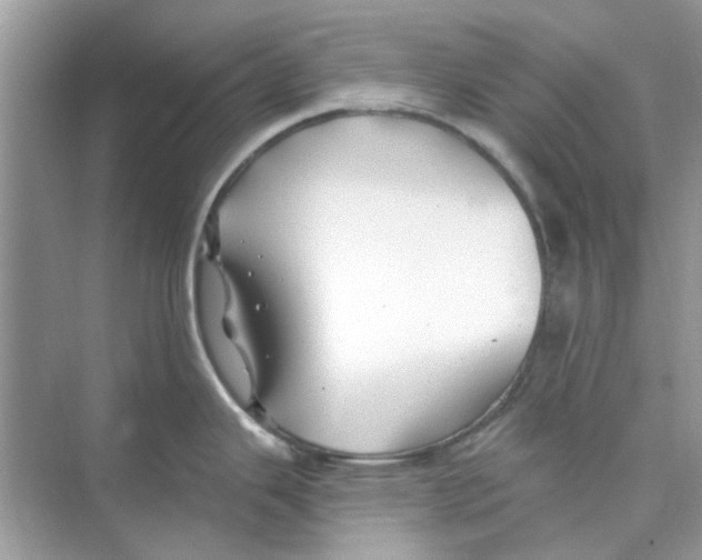 X0000074261343200609222141