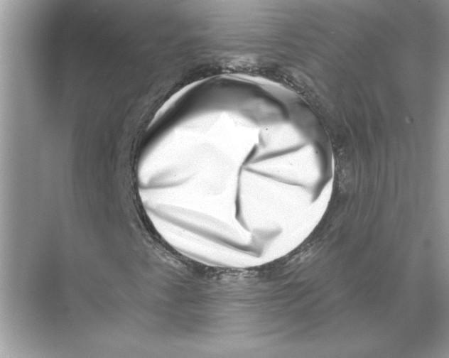 X0000074261345200609222140