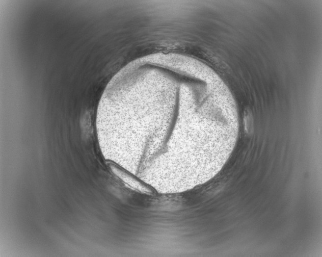 X0000074261347200609222140