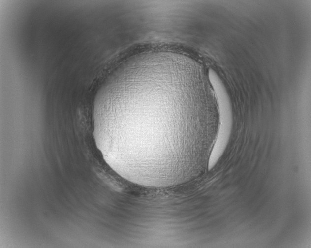 X0000074261348200609222140