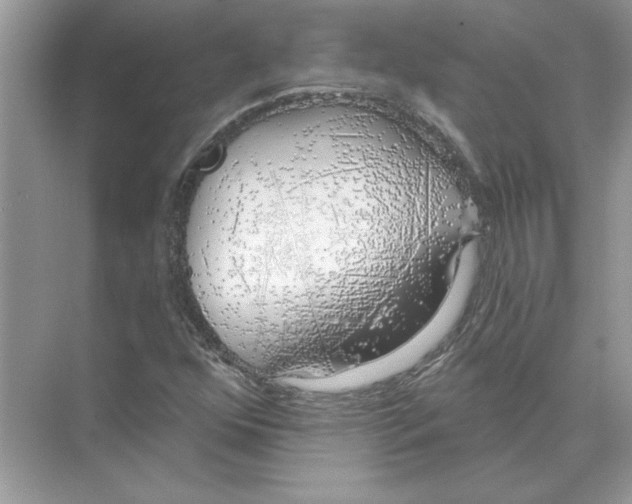 X0000074261352200609222140