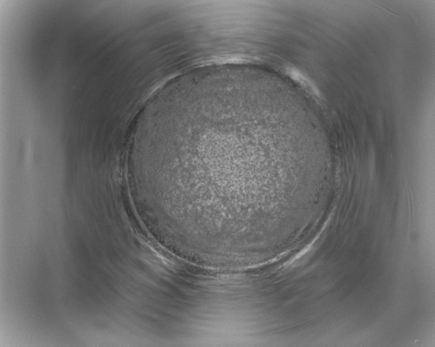 X0000074261353200609222140