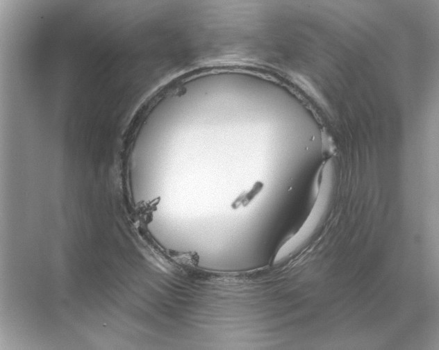 X0000074261356200609222140