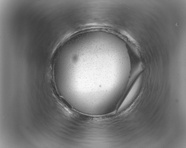 X0000074261357200609222140