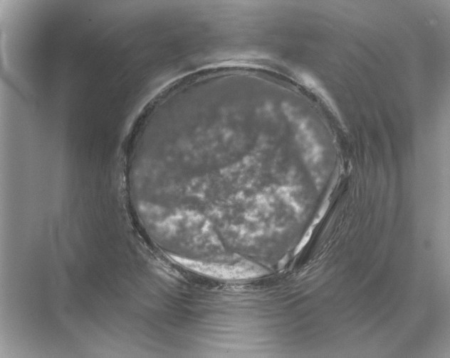 X0000074261360200609222140