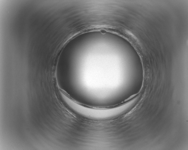 X0000074261361200609222140