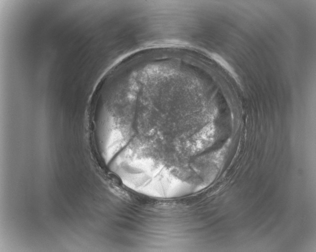 X0000074261364200609222140