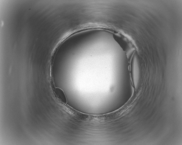 X0000074261365200609222140