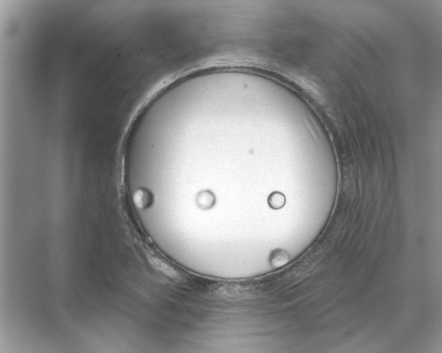 X0000074261366200609222140