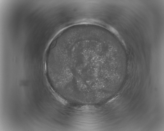 X0000074261368200609222140