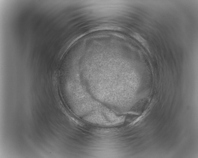 X0000074261369200609222140