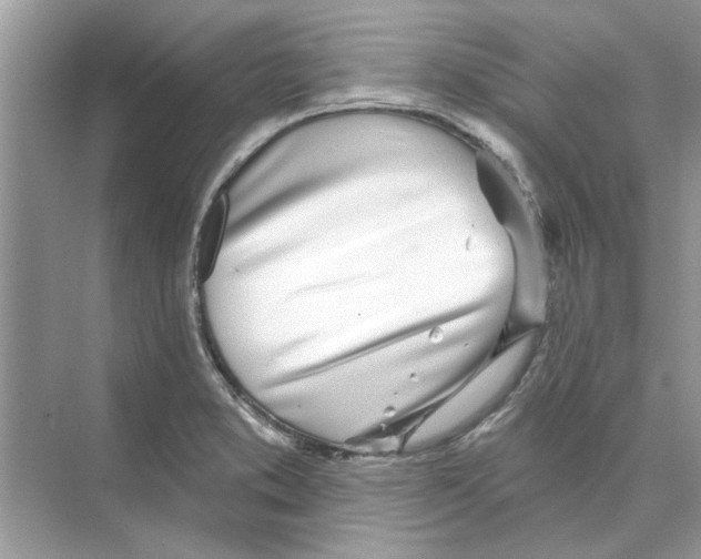 X0000074261373200609222140