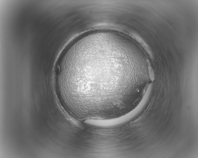 X0000074261376200609222140