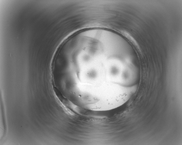 X0000074261380200609222140