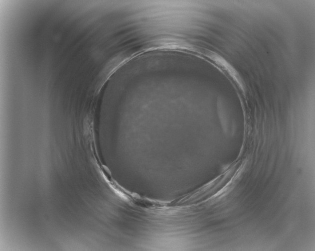 X0000074261385200609222140