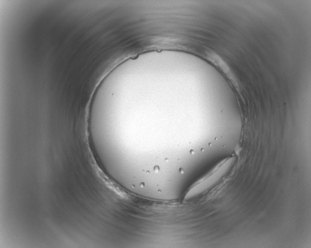 X0000074261386200609222140