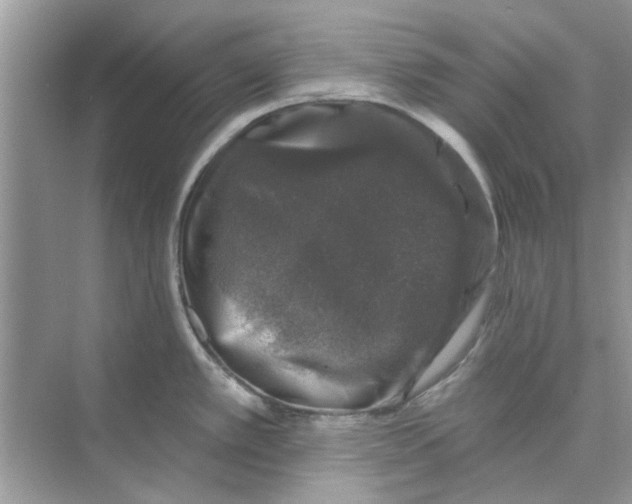 X0000074261389200609222139