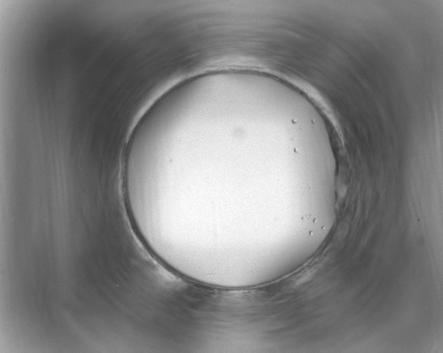 X0000074261390200609222139