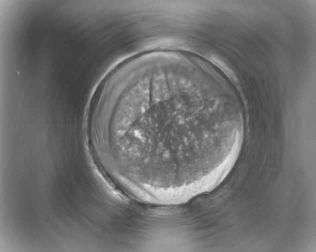 X0000074261392200609222139