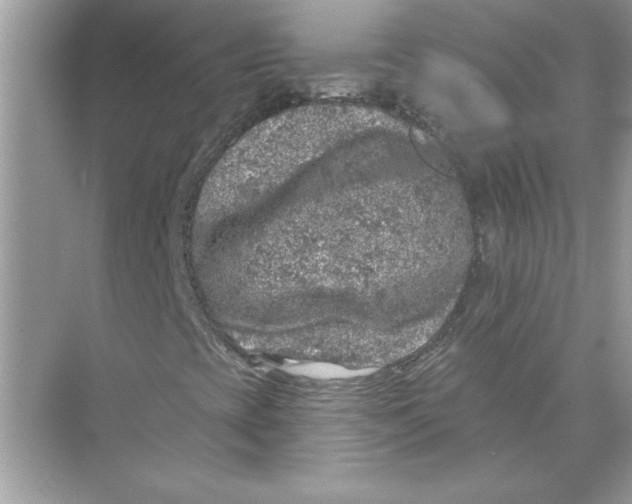 X0000074261393200609222139