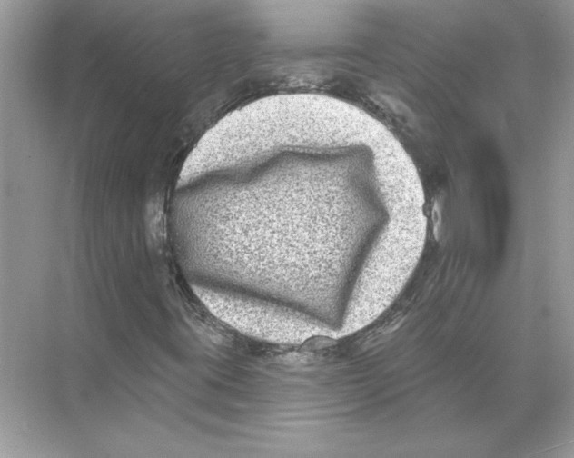 X0000074261395200609222139