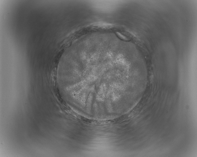 X0000074261397200609222139