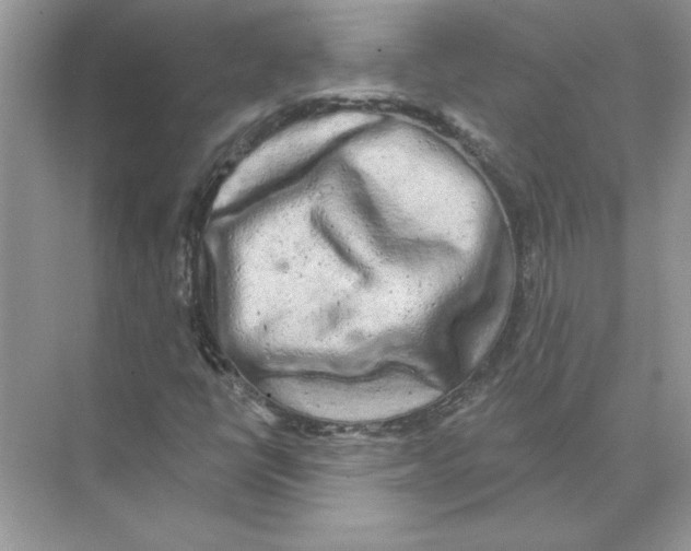 X0000074261398200609222139