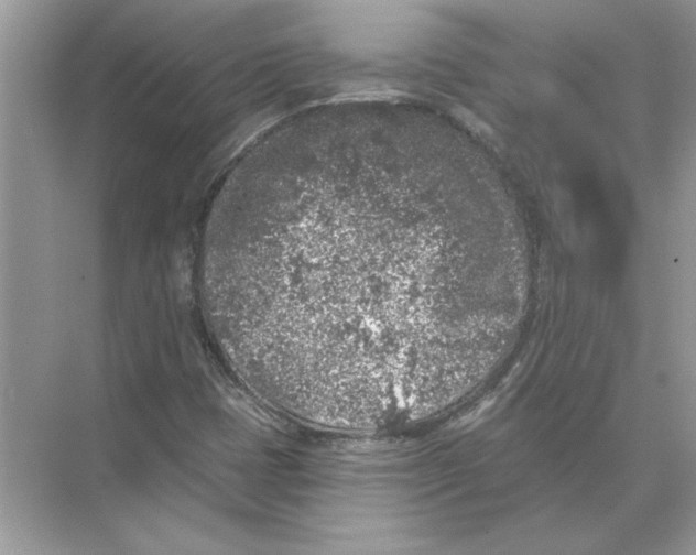 X0000074261401200609222139